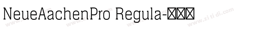 NeueAachenPro Regula字体转换